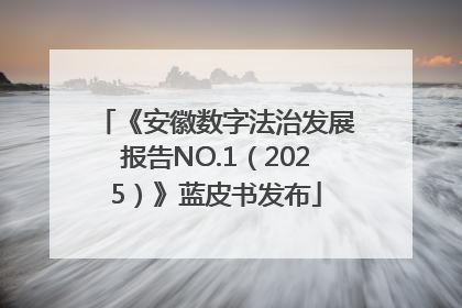 《安徽数字法治发展报告NO.1（2025）》蓝皮书发布