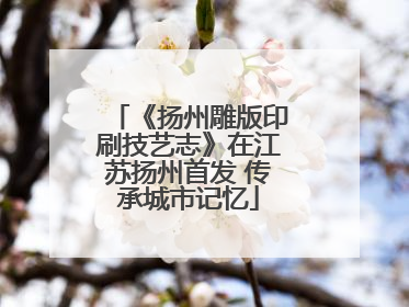 《扬州雕版印刷技艺志》在江苏扬州首发 传承城市记忆
