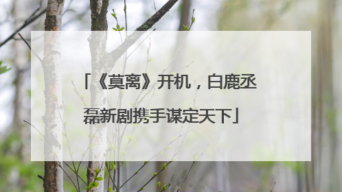 《莫离》开机，白鹿丞磊新剧携手谋定天下