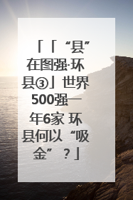 「“县”在图强·环县③」世界500强一年6家 环县何以“吸金”？