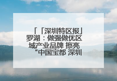 「深圳特区报」罗湖：做强做优区域产业品牌 擦亮“中国宝都 深圳水贝”金字招牌