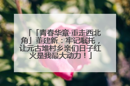 「青春华章·重走西北角」董建新：牢记嘱托，让元古堆村乡亲们日子红火是我最大动力！