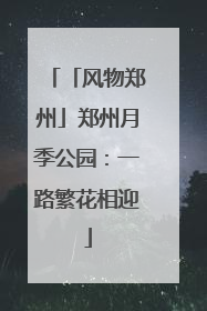 「风物郑州」郑州月季公园：一路繁花相迎