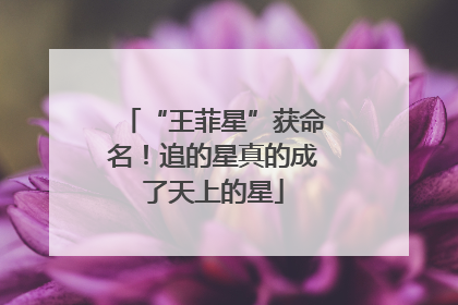 “王菲星”获命名！追的星真的成了天上的星