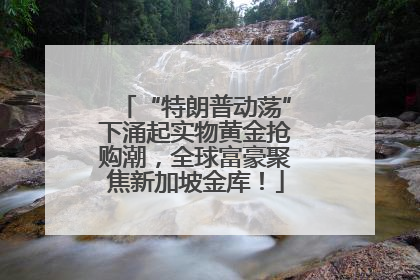 “特朗普动荡”下涌起实物黄金抢购潮，全球富豪聚焦新加坡金库！