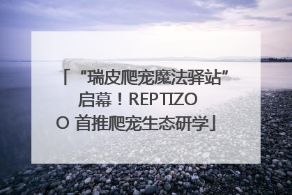 “瑞皮爬宠魔法驿站” 启幕！REPTIZOO 首推爬宠生态研学