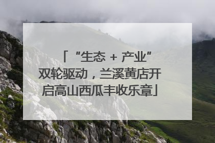 “生态 + 产业”双轮驱动，兰溪黄店开启高山西瓜丰收乐章
