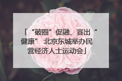 “破圈”促融、赛出“健康” 北京东城举办民营经济人士运动会