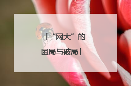 “网大”的困局与破局