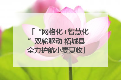 “网格化+智慧化”双轮驱动 柘城县全力护航小麦夏收