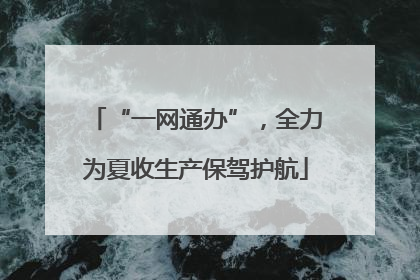 “一网通办”，全力为夏收生产保驾护航