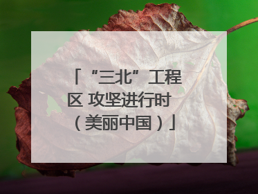 “三北”工程区 攻坚进行时（美丽中国）