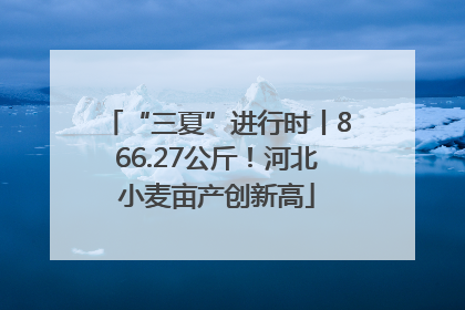 “三夏”进行时丨866.27公斤！河北小麦亩产创新高