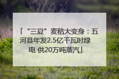 “三夏”麦秸大变身：五河县年发2.5亿千瓦时绿电 供20万吨蒸汽