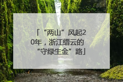 “两山”风起20年，浙江缙云的“守绿生金”路
