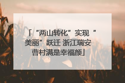“两山转化”实现“美丽”跃迁 浙江瑞安曹村满是幸福颜