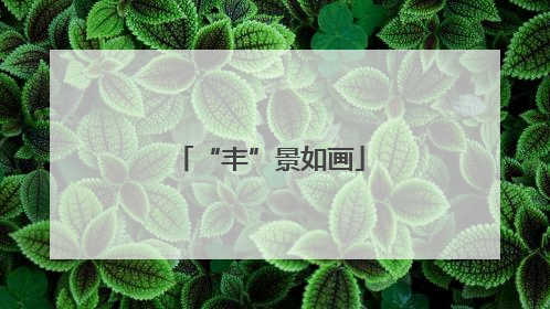 “丰”景如画