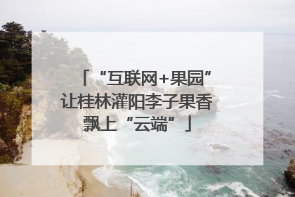 “互联网+果园”让桂林灌阳李子果香飘上“云端”
