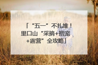 “五一”不扎堆！里口山“采摘+撸宠+露营”全攻略