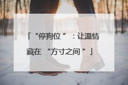 “停狗位 ”：让温情藏在 “方寸之间 ”