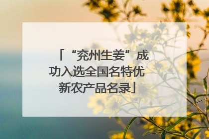 “兖州生姜”成功入选全国名特优新农产品名录