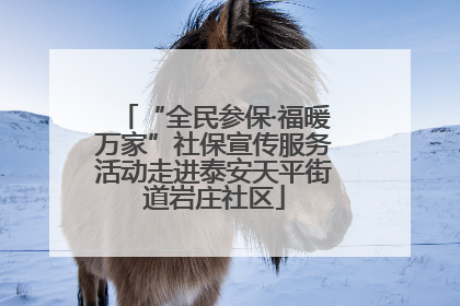 “全民参保·福暖万家”社保宣传服务活动走进泰安天平街道岩庄社区
