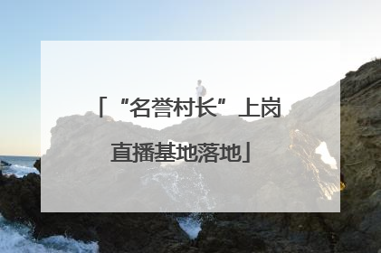 “名誉村长”上岗 直播基地落地