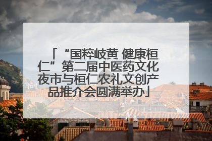 “国粹岐黄 健康桓仁”第二届中医药文化夜市与桓仁农礼文创产品推介会圆满举办