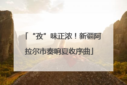 “孜”味正浓！新疆阿拉尔市奏响夏收序曲