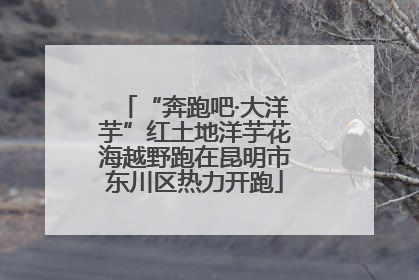 “奔跑吧·大洋芋”红土地洋芋花海越野跑在昆明市东川区热力开跑