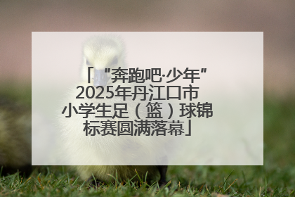 “奔跑吧·少年”2025年丹江口市小学生足（篮）球锦标赛圆满落幕
