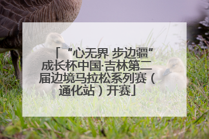 “心无界 步边疆”成长杯中国·吉林第二届边境马拉松系列赛（通化站）开赛