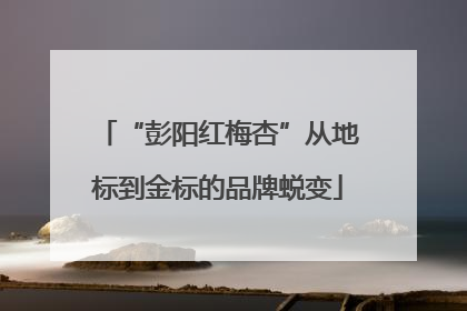 “彭阳红梅杏”从地标到金标的品牌蜕变