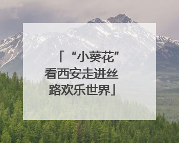 “小葵花”看西安走进丝路欢乐世界