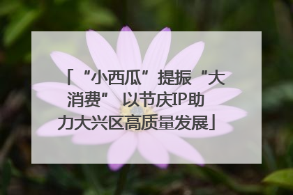 “小西瓜”提振“大消费” 以节庆IP助力大兴区高质量发展