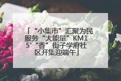 “小集市”汇聚为民服务“大能量”KM15′“香”街子学府社区开集迎端午
