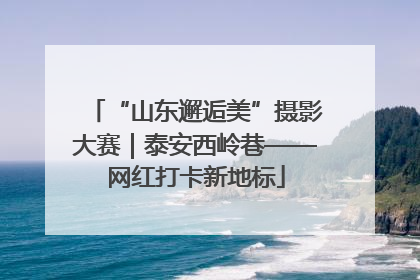 “山东邂逅美”摄影大赛｜泰安西岭巷——网红打卡新地标