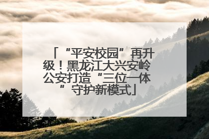 “平安校园”再升级！黑龙江大兴安岭公安打造“三位一体”守护新模式