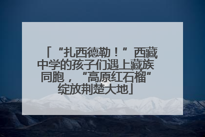 “扎西德勒！”西藏中学的孩子们遇上藏族同胞，“高原红石榴”绽放荆楚大地