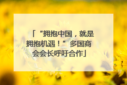 “拥抱中国，就是拥抱机遇！”多国商会会长呼吁合作
