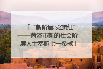 “新阶层 党旗红”——菏泽市新的社会阶层人士奏响七一赞歌