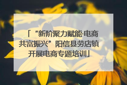 “新阶聚力赋能·电商共富振兴”阳信县劳店镇开展电商专题培训