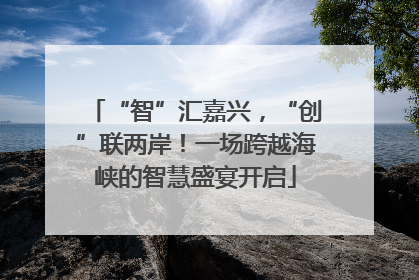 “智”汇嘉兴，“创”联两岸！一场跨越海峡的智慧盛宴开启