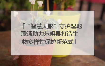 “智慧天眼”守护湿地 联通助力东明县打造生物多样性保护新范式