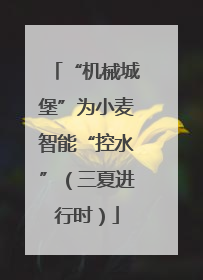 “机械城堡”为小麦智能“控水”（三夏进行时）