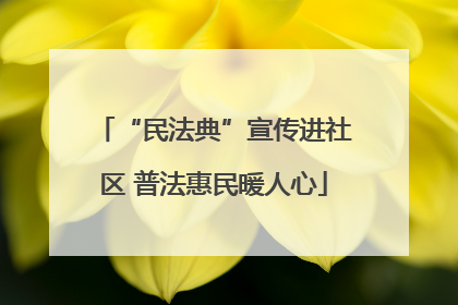“民法典”宣传进社区 普法惠民暖人心