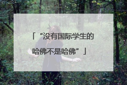 “没有国际学生的哈佛不是哈佛”