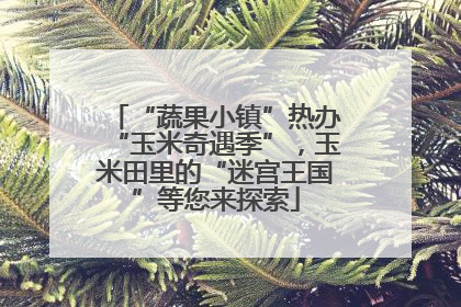 “蔬果小镇”热办“玉米奇遇季”，玉米田里的“迷宫王国”等您来探索