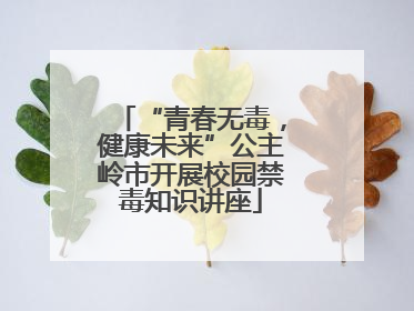 “青春无毒，健康未来”公主岭市开展校园禁毒知识讲座