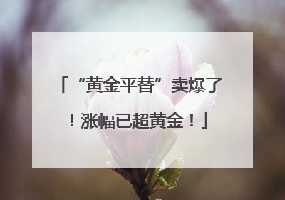 “黄金平替”卖爆了！涨幅已超黄金！